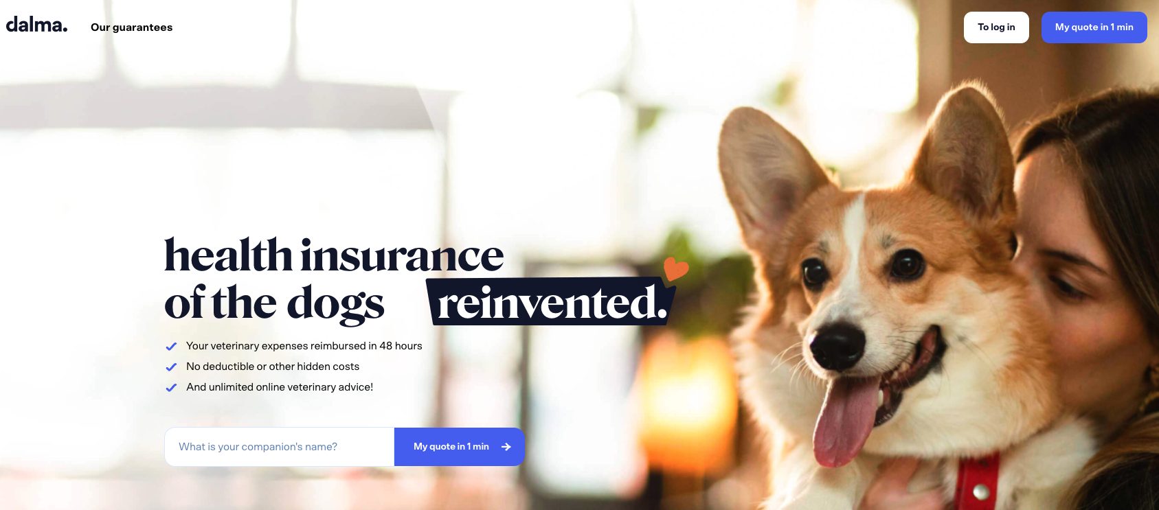 Dalma pet insurance