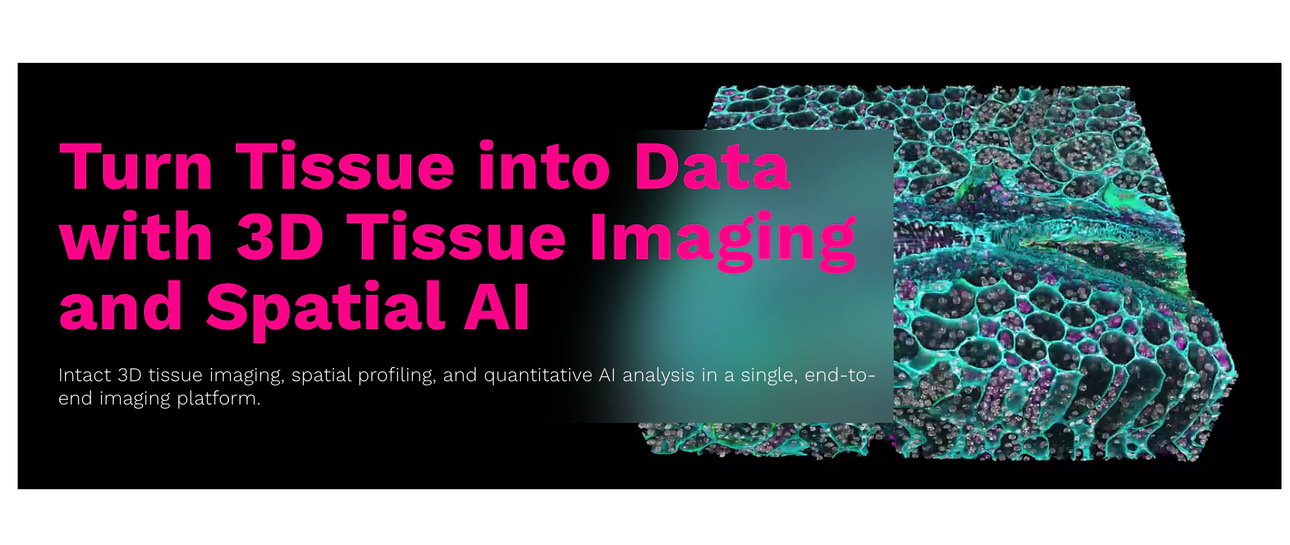 3D microscopy cancer diagnostics